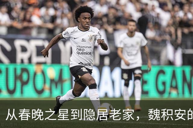 从春晚之星到隐居老家，魏积安的故事竟然这么圆满！